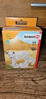 Schleich Wild Life Löwin mit Babys 42505 Sachsen - Wurzen Vorschau