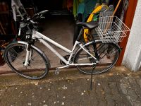 Stevens Damen Fahrrad 28 Zoll Nordrhein-Westfalen - Oer-Erkenschwick Vorschau