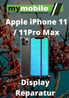 Apple iPhone 11 / 11 Pro Max Display Reparatur LCD Touch EXPRESS Hessen - Darmstadt Vorschau