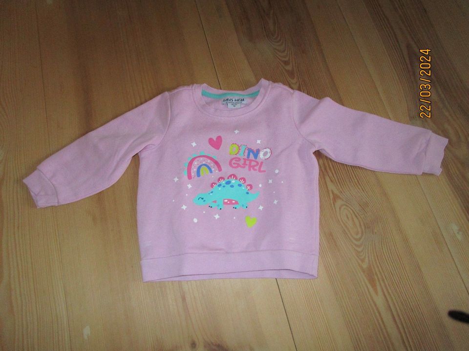 Sweatshirt Dino Mädchen Gr. 92/98 in Zerbst (Anhalt)