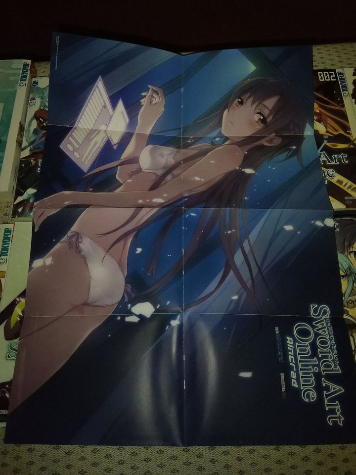 Sword Art Online Light-Novel + Manga + The Isolator in Dausenau