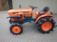 Kubota B6001 / B7001 Kleintraktor StVO vorbereitet Schneeschild Sachsen-Anhalt - Zielitz Vorschau