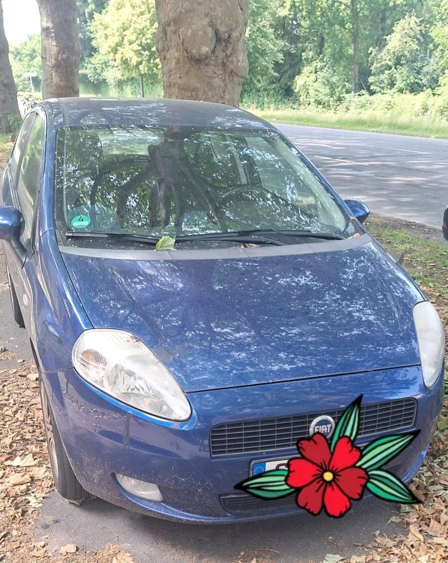 Abbildung des Autos Fiat Punto