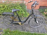 Vw E-bike Fahrrad Niedersachsen - Nienburg (Weser) Vorschau