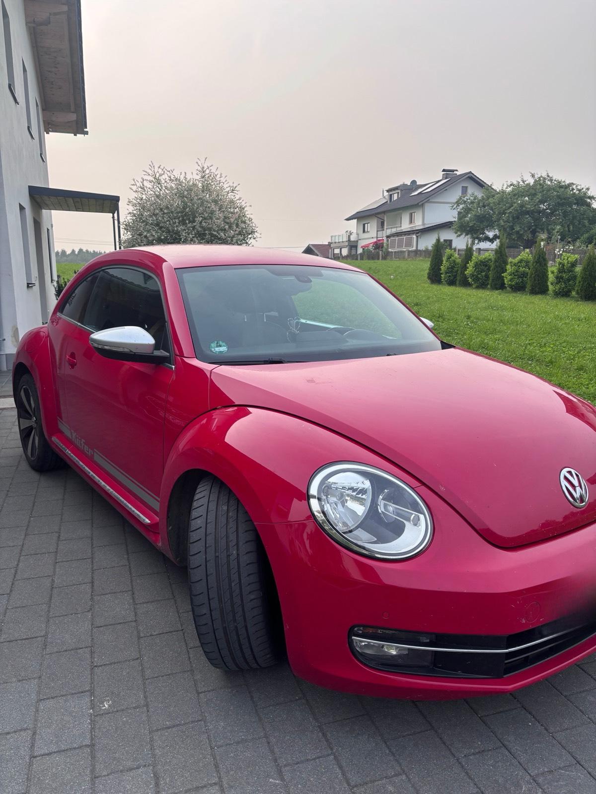 Abbildung des Autos Volkswagen Beetle
