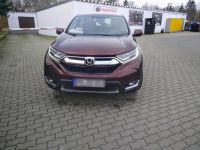 Honda CR-V  Scheckheftgepflegt Brandenburg - Geltow Vorschau