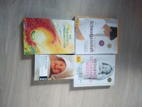 6 x Schwangerschaftsbücher Babybücher Schlafbuch Bayern - Julbach Vorschau