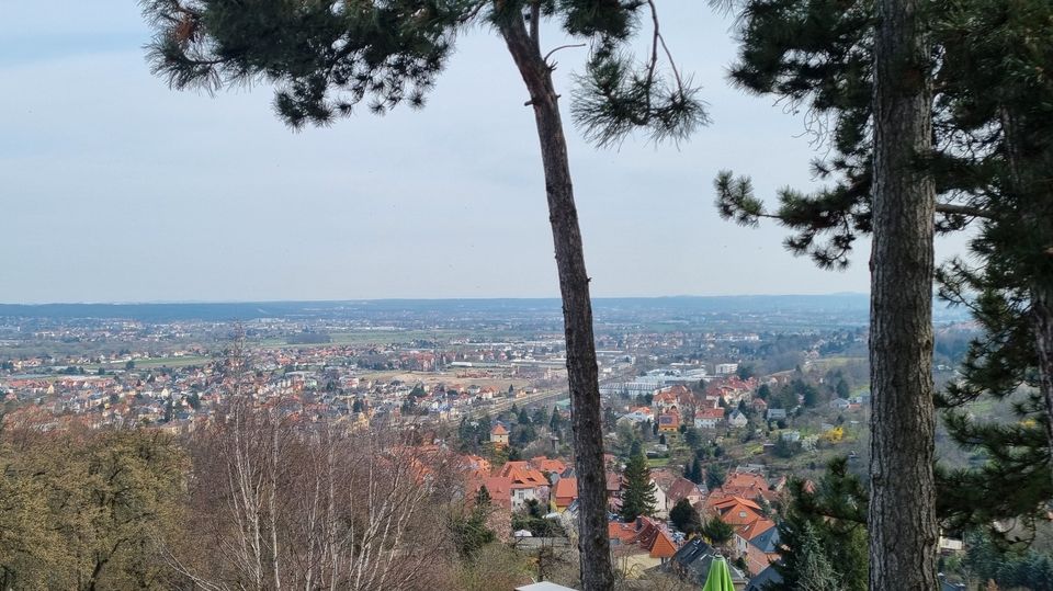 Modernisieren, Neu bauen oder Beides in Dresden