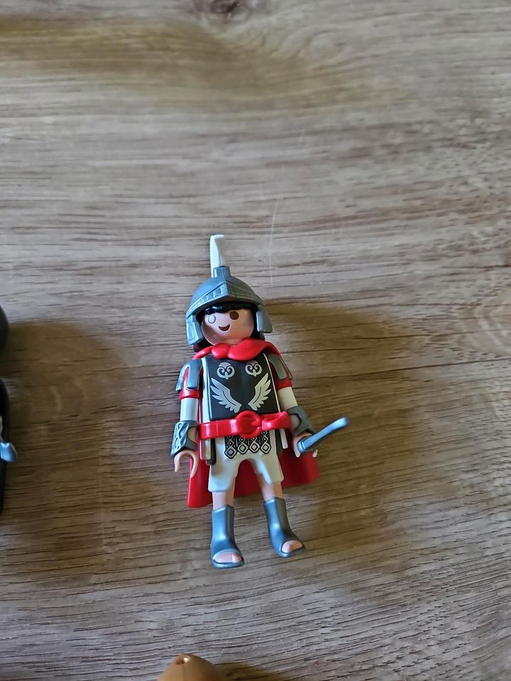 Playmobil - verschiedene Ritterfiguren in Leipzig