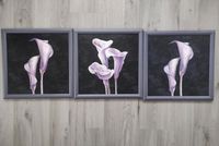 3 schöne Calla Wandbilder Niedersachsen - Hardegsen Vorschau