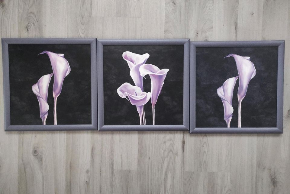 3 schöne Calla Wandbilder in Hardegsen