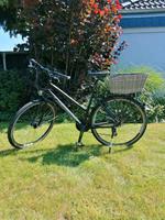 Steppenwolf Damenfahrrad Trekking 28 Zoll Nordrhein-Westfalen - Lippstadt Vorschau