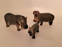 Schleich Flußpferd Nordrhein-Westfalen - Remscheid Vorschau