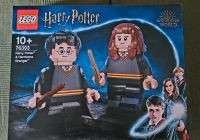 Lego  76393 Harry Potter & Hermione Granger neu ovp Brandenburg - Ludwigsfelde Vorschau