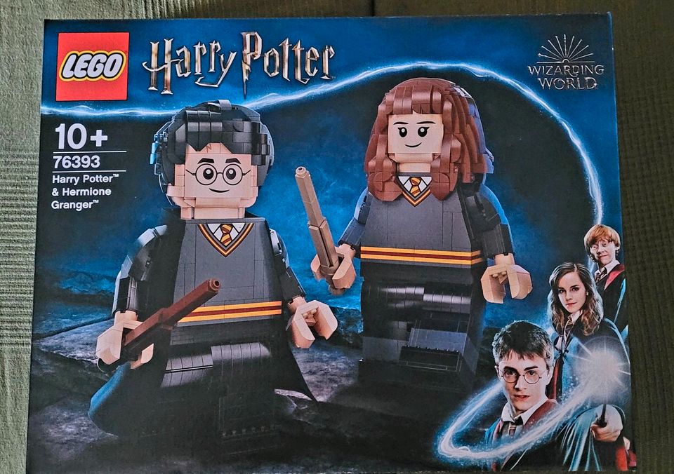 Lego  76393 Harry Potter & Hermione Granger neu ovp in Ludwigsfelde