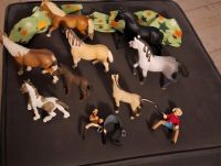 Schleich Pferde  8 x Nordrhein-Westfalen - Bad Laasphe Vorschau