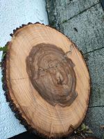 XXL Baumscheibe Baumkante Tisch Holz Deko Kratzbaum rustikal Nordrhein-Westfalen - Kalletal Vorschau