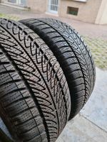 2x 225 40 R18 92V XL Goodyear Ganzjahresreifen Stuttgart - Bad Cannstatt Vorschau