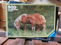 500 Teile Pferde Puzzle von Ravensburger Schleswig-Holstein - Raisdorf Vorschau