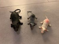 Maus Mäuse Ratte Ratten Figur Figuren Hessen - Schaafheim Vorschau