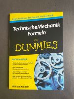 Technische Mechanik Formeln für Dummies Bayern - Regensburg Vorschau