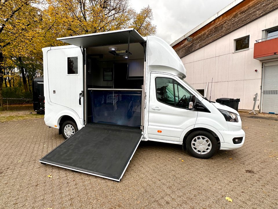 FORD Roelofsen Parados 2-Pferdetransporter Schalter SONDERPREIS in Vaterstetten