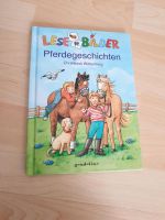 Pferdegeschichten von Christiane Wittenburg Rheinland-Pfalz - Lambsheim Vorschau