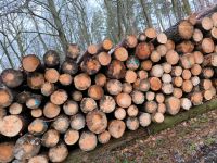 Stammholz Kiefer Lärche Nadelholz Brennholz Kaminholz Sachsen-Anhalt - Emden (bei Haldensleben) Vorschau