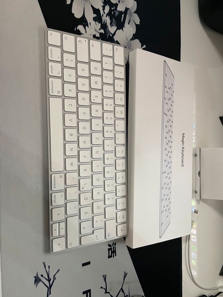 Apple Magic Keyboard in Wiefelstede