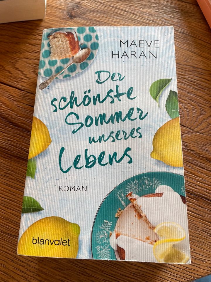 Der schönste Sommer unseres Lebens (Roman) Maeve Haran in Michelau i. OFr.