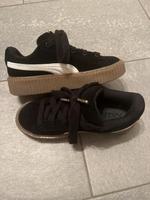 Puma Fenty Bayern - Gerolzhofen Vorschau