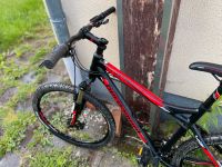 Mountainbike / Fahrrad Bergamont Roxtar 4.0 rot Sachsen - Grünhain-Beierfeld  Vorschau