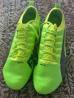 Puma EVOPOWER VIGOR 1 FG Fußballschuhe grün EU 47 Köln - Köln Klettenberg Vorschau