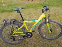 Kinder Fahrrad Streethammer von Little John Bikes 26 er Rostock - Dierkow Vorschau