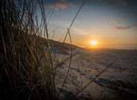 Usedom Bansin Ferienwohnung Ostsee Sachsen - Chemnitz Vorschau