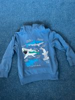 Sweatshirt Hoodie HM Gr.122/128 Baden-Württemberg - Denzlingen Vorschau