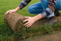 Beregnung, Bewässerungsanlagen für Rasen- u. Gartenflächen. Hamburg Barmbek - Hamburg Barmbek-Süd  Vorschau