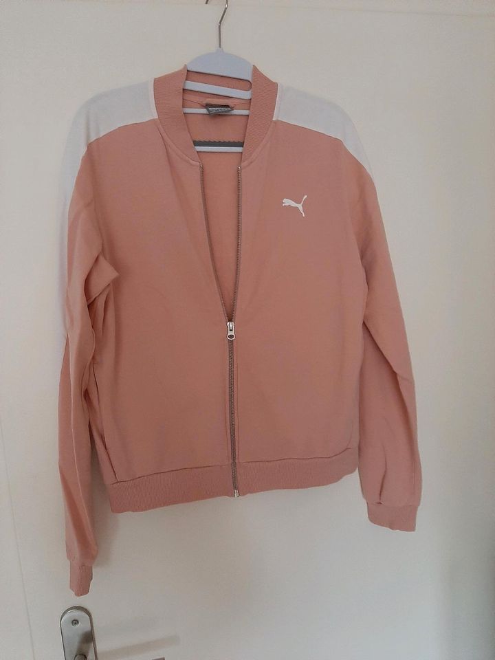 Puma Sweatshirt Jacke Größe L40 in Flensburg