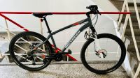 Mountainbike 27,5 Zoll Frankfurt am Main - Ostend Vorschau