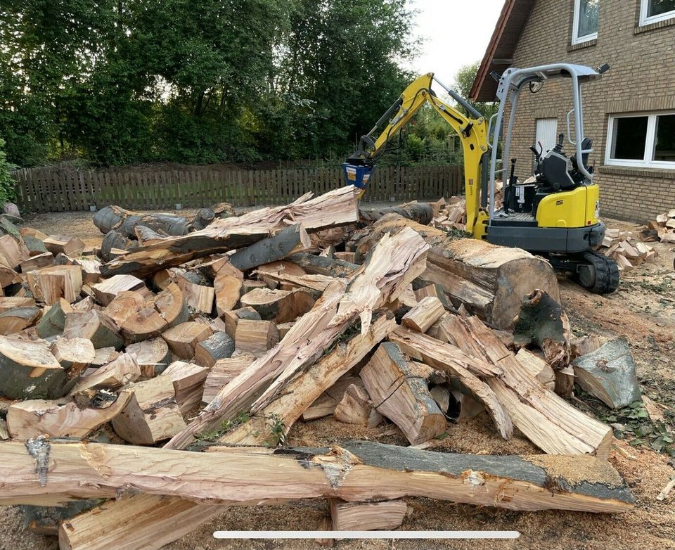 Lohnspalten von Kaminholz, Weidepfählen, Holzspalter / Brennholz in Ahaus