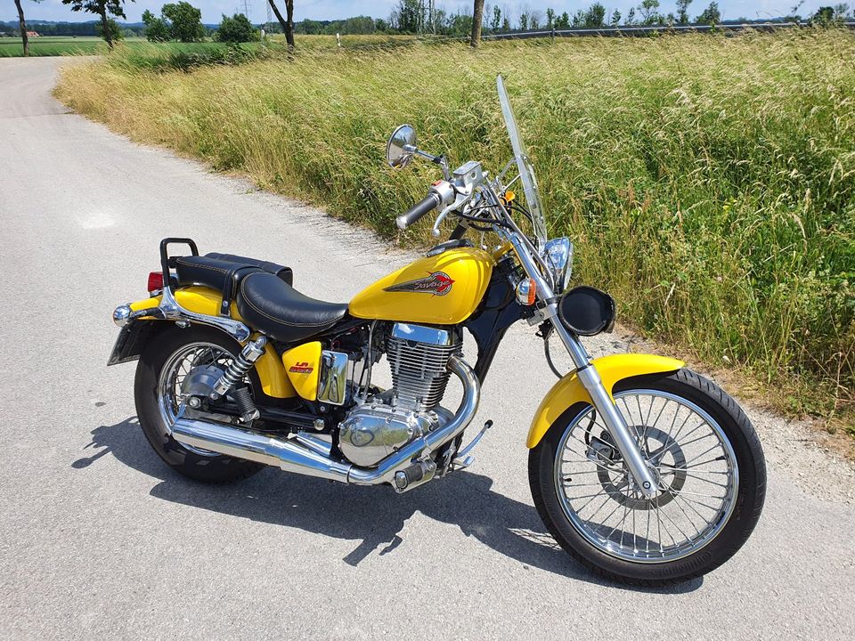 Suzuki LS 650 Savage in Landshut