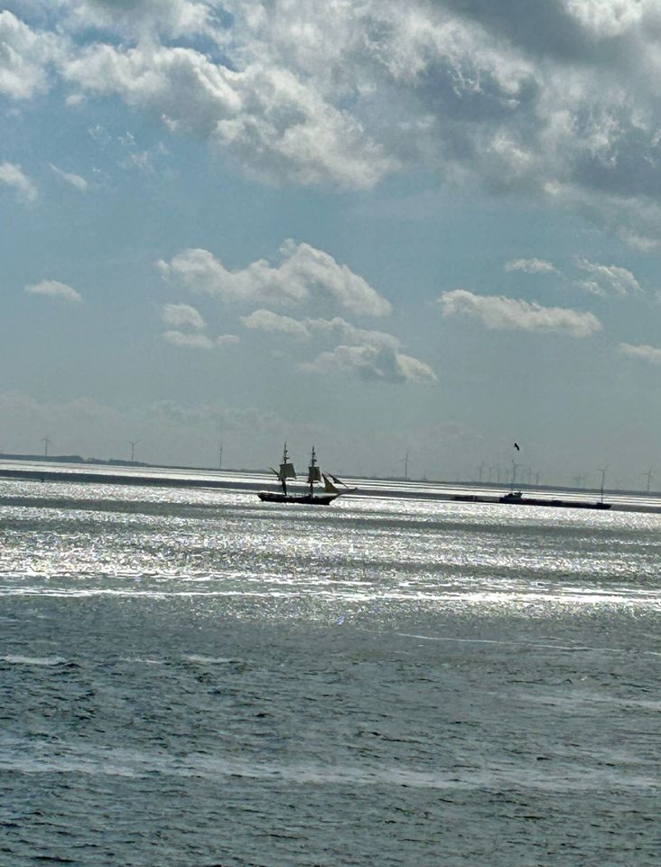 28.6-08.07/21.7-27.7/Sommerferien direkter Meerblick Nordsee Hund Holland Niederlande 1 Woche Sommerferien in Warburg