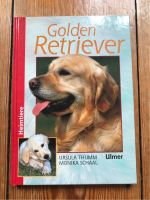 Golden Retriever Buch Hamburg-Mitte - Hamburg St. Pauli Vorschau