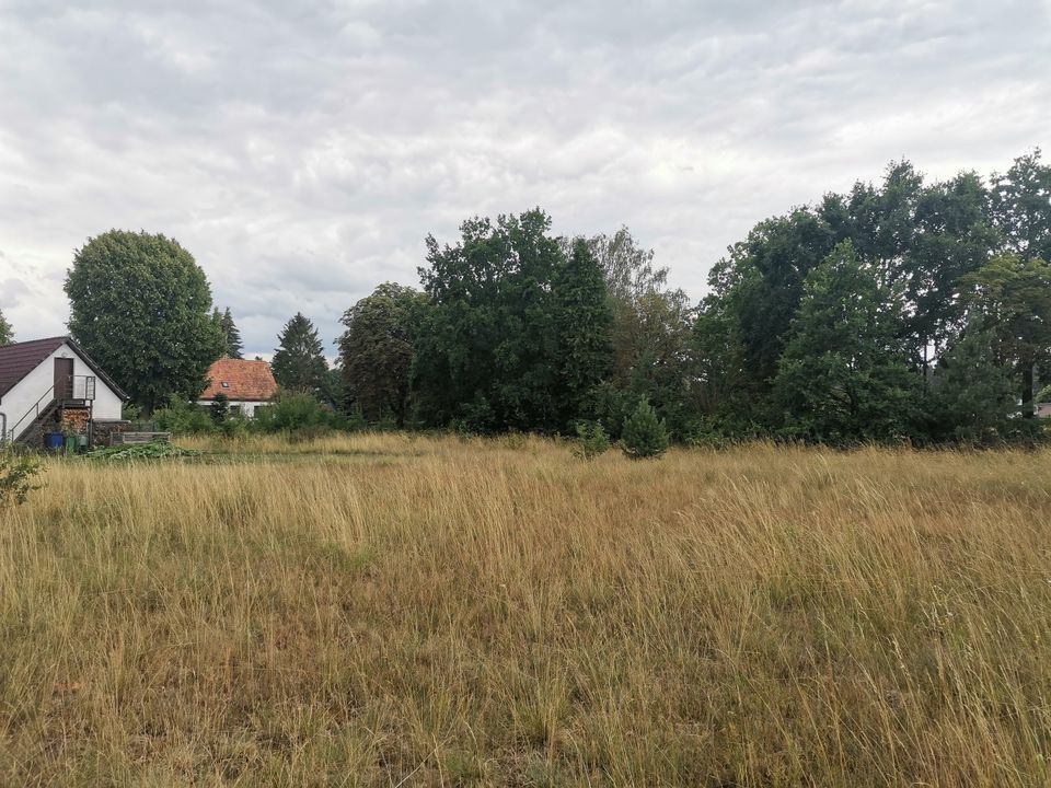 ⭐ Baugrundstück im Ort von Heidesee – ca. 1486 m² in Seenähe⭐ in Heidesee