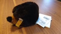 Steiff Igel Mini Cosy 10 084300 - Original Nordrhein-Westfalen - Gütersloh Vorschau