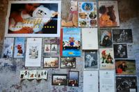 Steiff Sammlung Hessen - Echzell  Vorschau