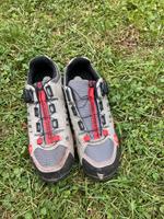Diese Schuhe Berlin - Steglitz Vorschau