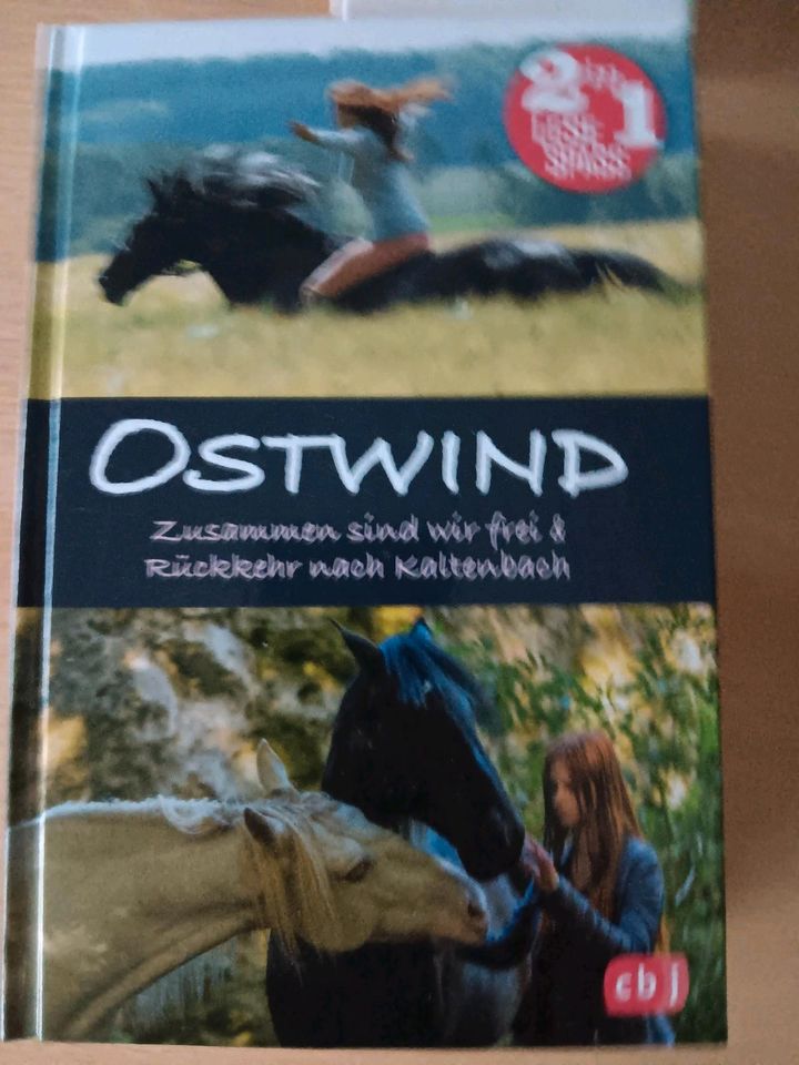 5,00 €, Ostwind Bücher 2 in 1 Lese Spaß in Preetz