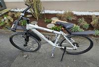 Herrenfahrrad Mountainbike Nordrhein-Westfalen - Wetter (Ruhr) Vorschau