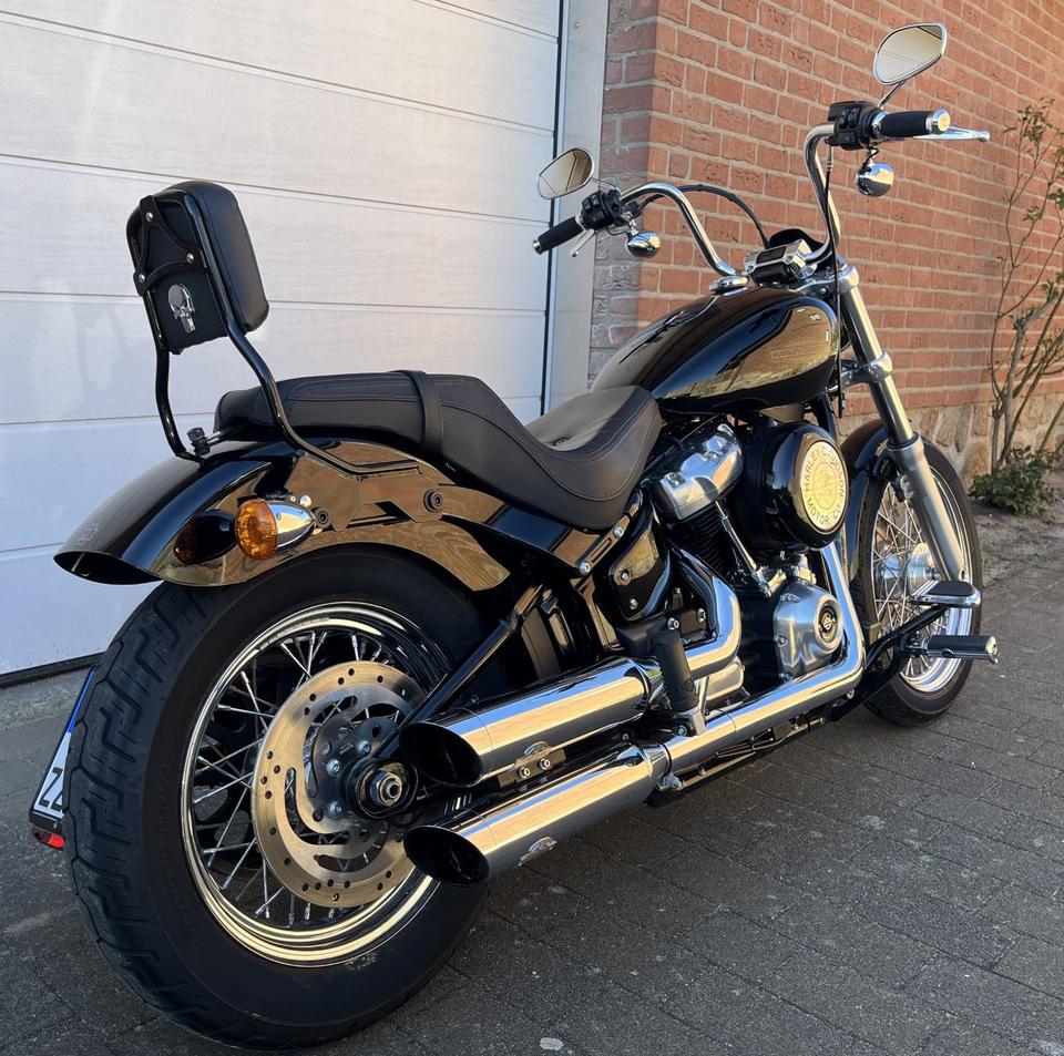 Harley-Davidson Softail Standard / Dr. Jekill & Mr. Hyde Anlage in Büdelsdorf